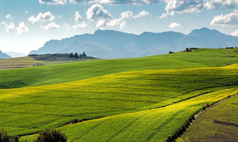 Reflexiones sobre la necesidad de apoyar la producción sostenible e los agricultores en los países en desarrollo